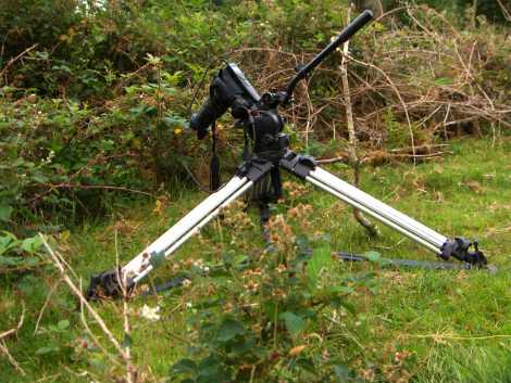 Photo of camera and tripod filming timelapse of toad under bramble and Rosebay willow herb on location at Burrator