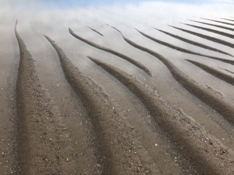 Stuart_Moore_Zinn-film-still