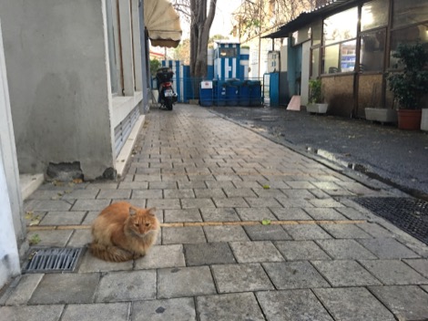Nicosia_2018