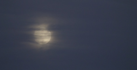 placing_the_past_talk_16-11-21