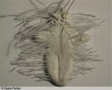 Still from Kayla Parker's film White Body - the white doll is fringed with waving white threads or cilia