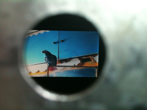 photo taken through peephole at Project Space 11 - a frame of 'Jessica' by Lucy Gunning