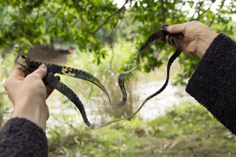 Reach_documentation_film_retrieval02-470